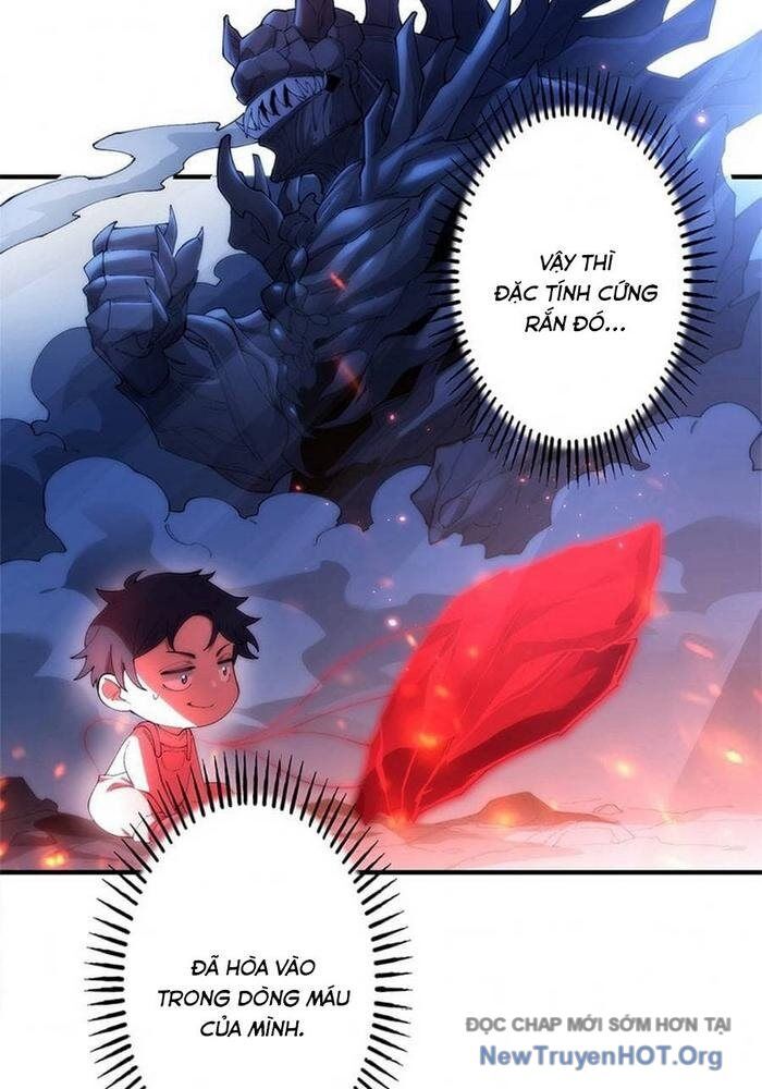 Ranker Sss Được Chọn Chapter 8 - Trang 2