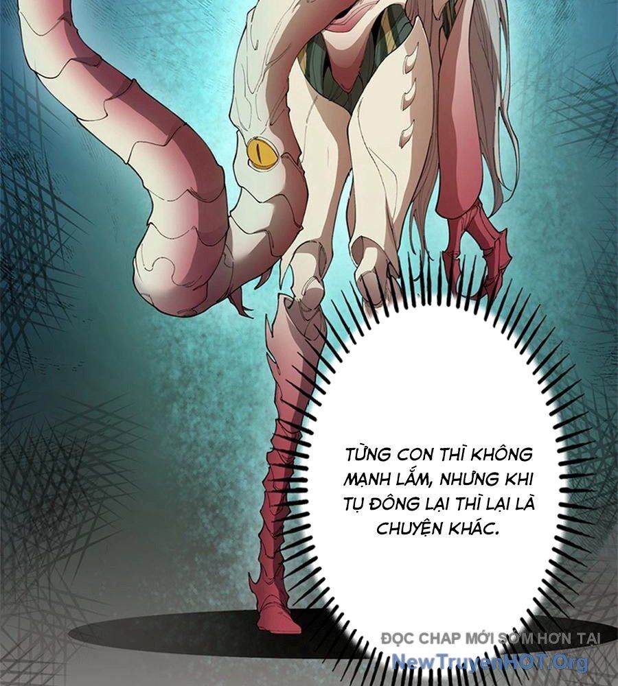 Ranker Sss Được Chọn Chapter 9 - Trang 2