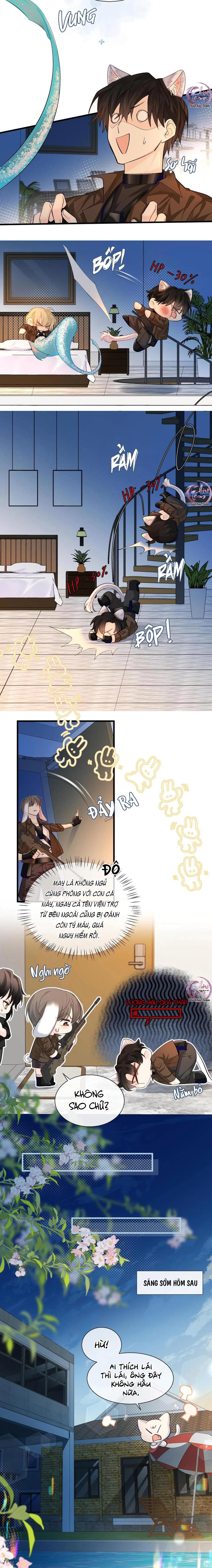 Rơi Vào Bẫy Nhân Ngư Chapter 16 - Trang 2