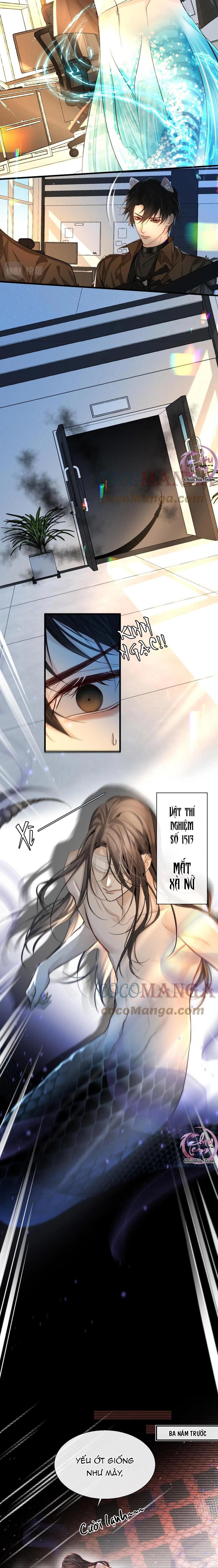 Rơi Vào Bẫy Nhân Ngư Chapter 18 - Trang 2