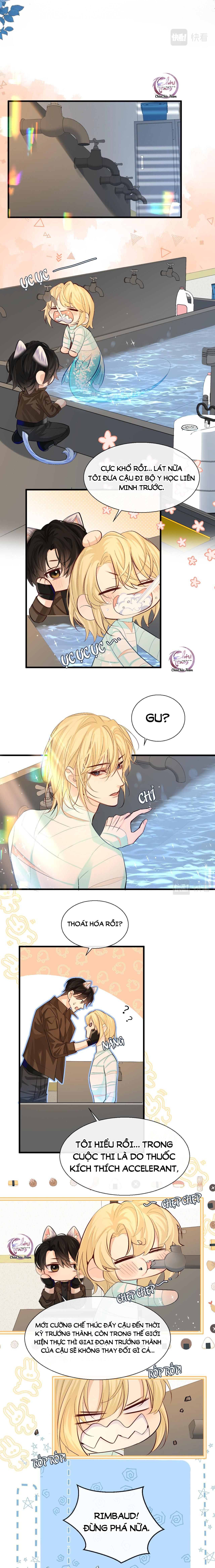 Rơi Vào Bẫy Nhân Ngư Chapter 20 - Trang 2