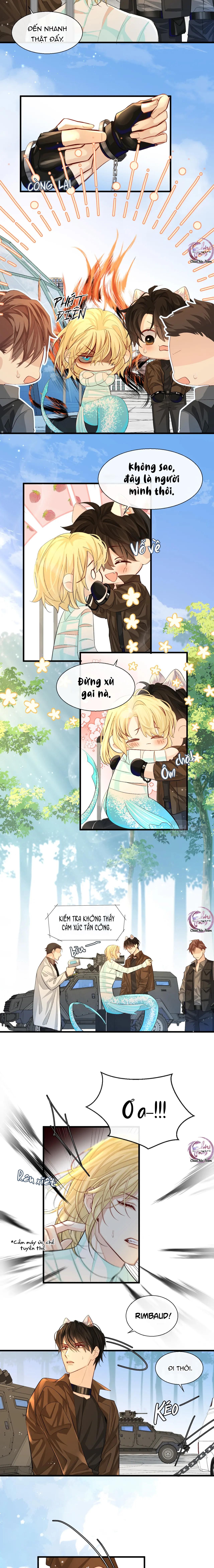 Rơi Vào Bẫy Nhân Ngư Chapter 21 - Trang 2