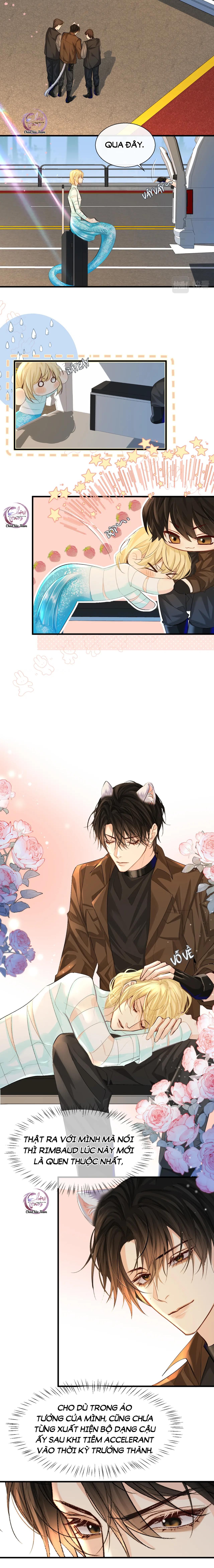 Rơi Vào Bẫy Nhân Ngư Chapter 22 - Trang 2