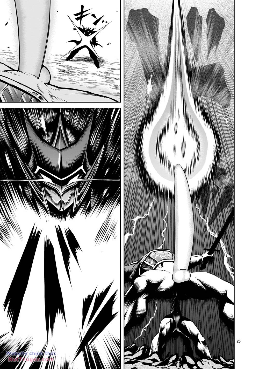 Rosen Garten Saga Chapter 63 - Trang 2