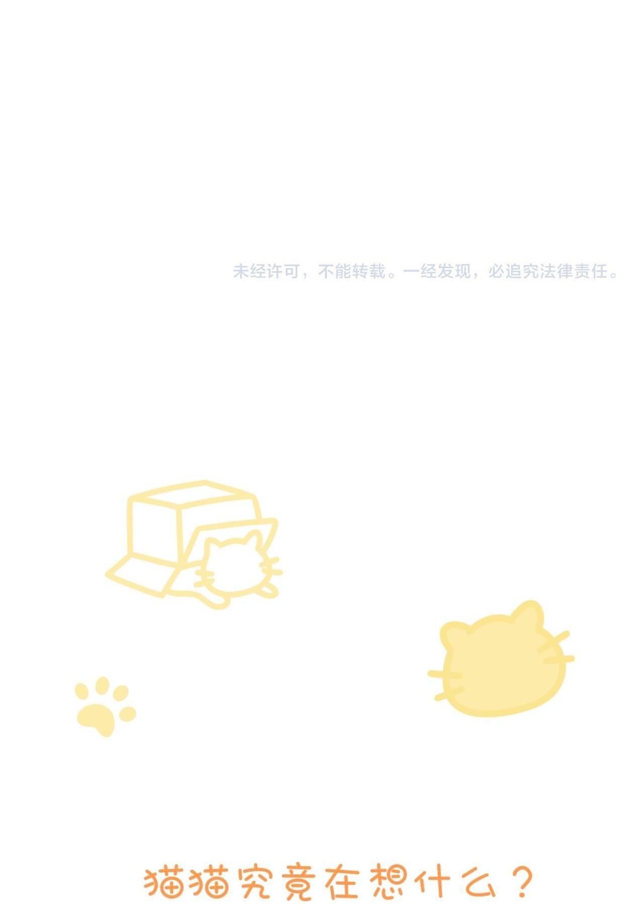 Rốt Cuộc Mèo Con Đang Nghĩ Gì Thế? Chapter 11 - Trang 2