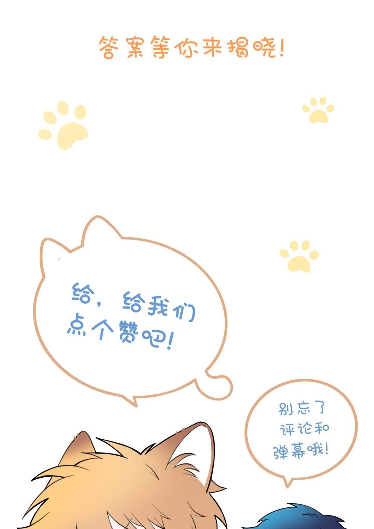 Rốt Cuộc Mèo Con Đang Nghĩ Gì Thế? Chapter 11 - Trang 2