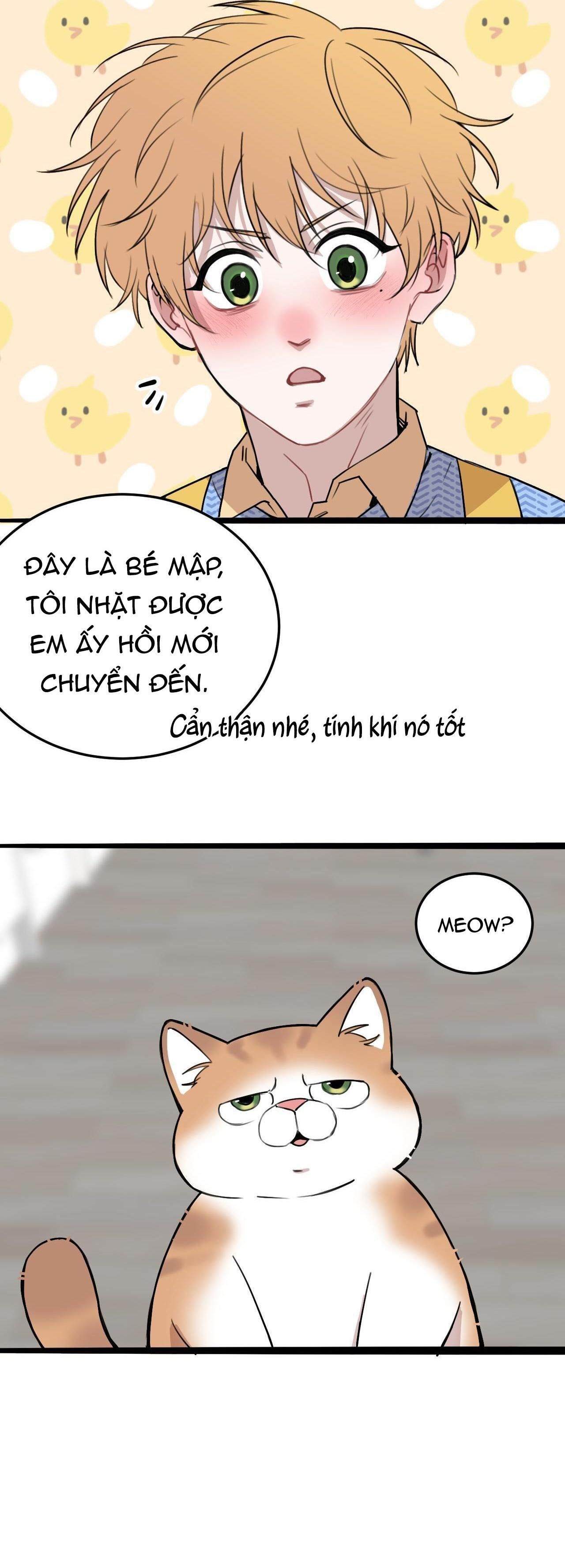 Rốt Cuộc Mèo Con Đang Nghĩ Gì Thế? Chapter 11 - Trang 2