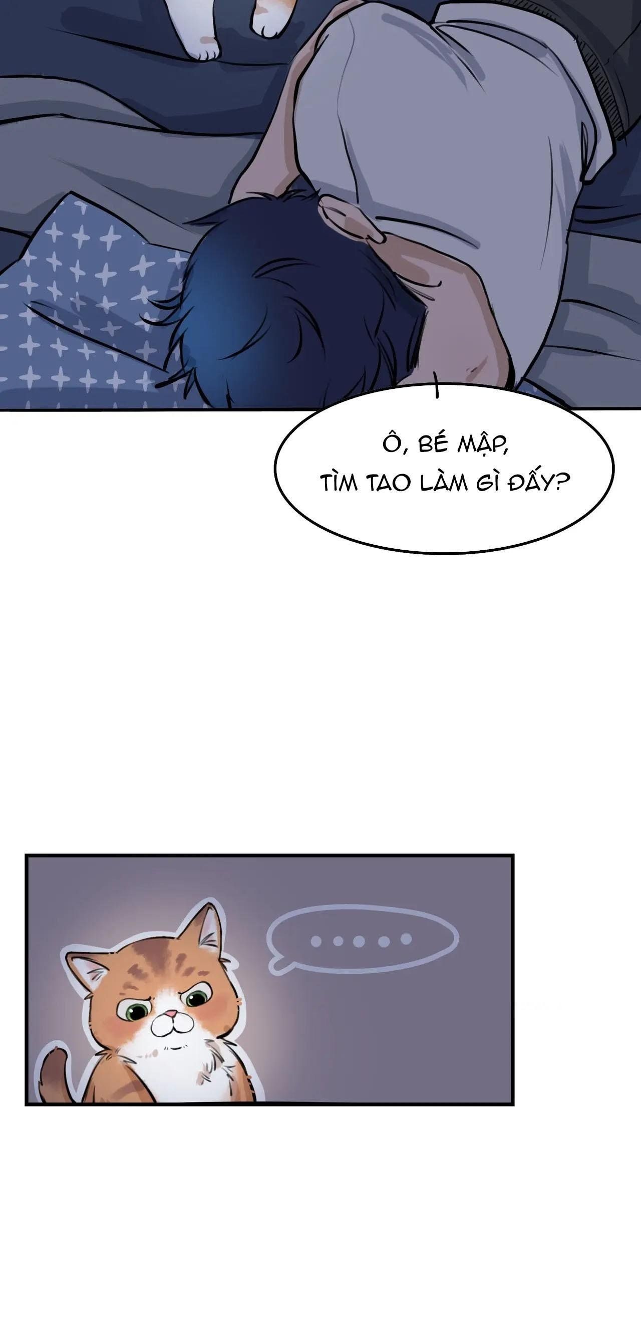 Rốt Cuộc Mèo Con Đang Nghĩ Gì Thế? Chapter 4 - Trang 2
