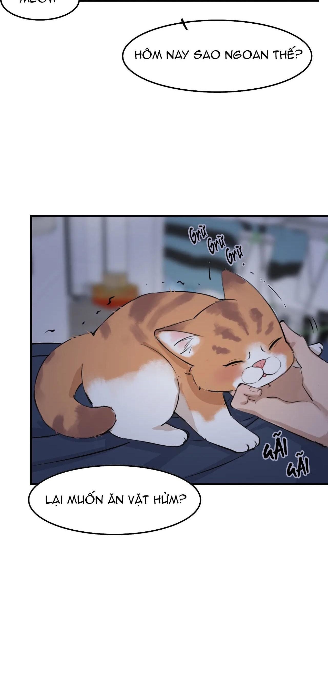 Rốt Cuộc Mèo Con Đang Nghĩ Gì Thế? Chapter 4 - Trang 2