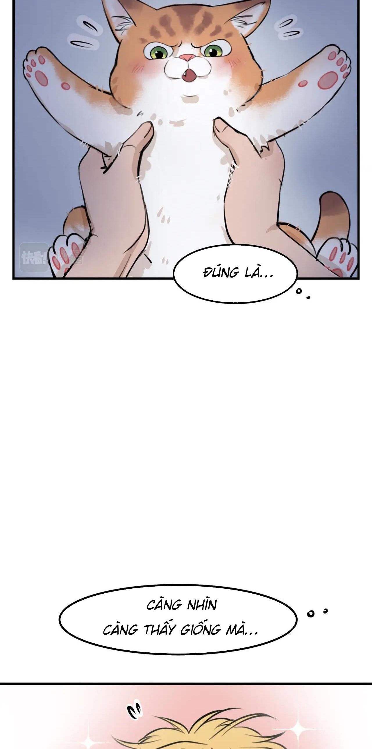 Rốt Cuộc Mèo Con Đang Nghĩ Gì Thế? Chapter 4 - Trang 2