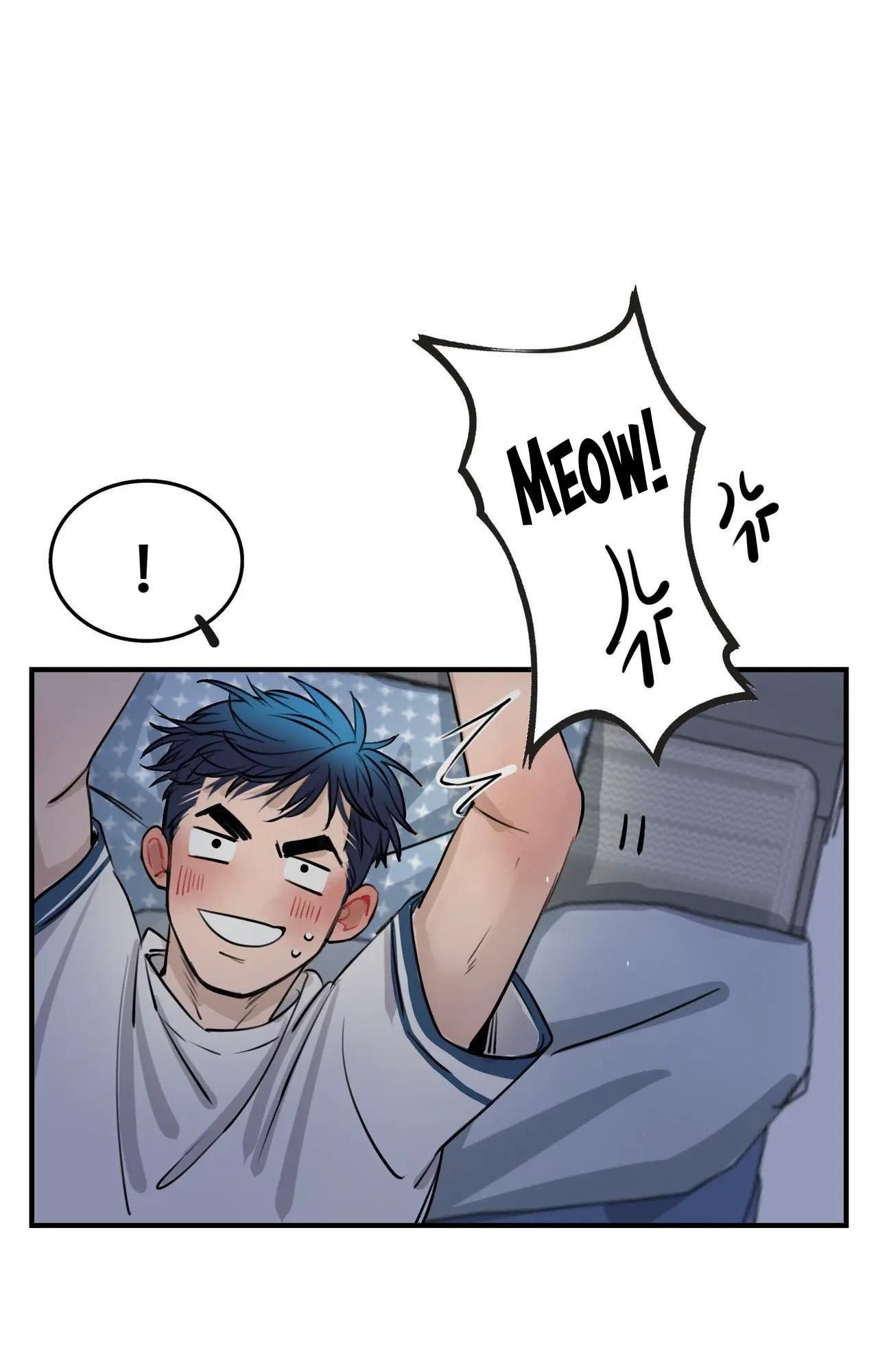 Rốt Cuộc Mèo Con Đang Nghĩ Gì Thế? Chapter 4 - Trang 2