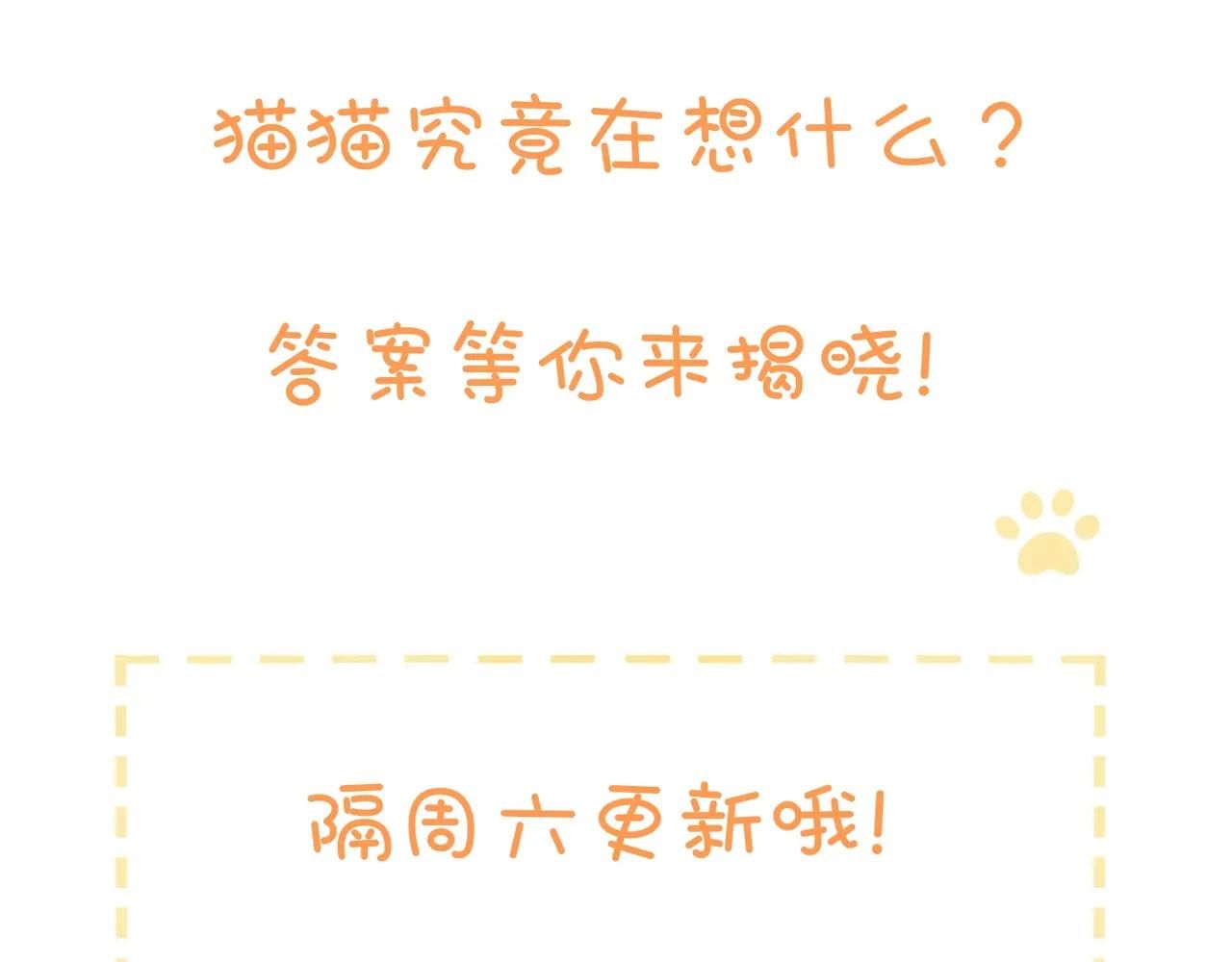 Rốt Cuộc Mèo Con Đang Nghĩ Gì Thế? Chapter 7 - Trang 2