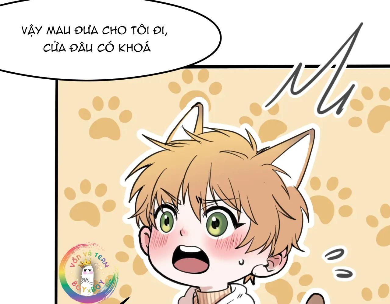 Rốt Cuộc Mèo Con Đang Nghĩ Gì Thế? Chapter 7 - Trang 2