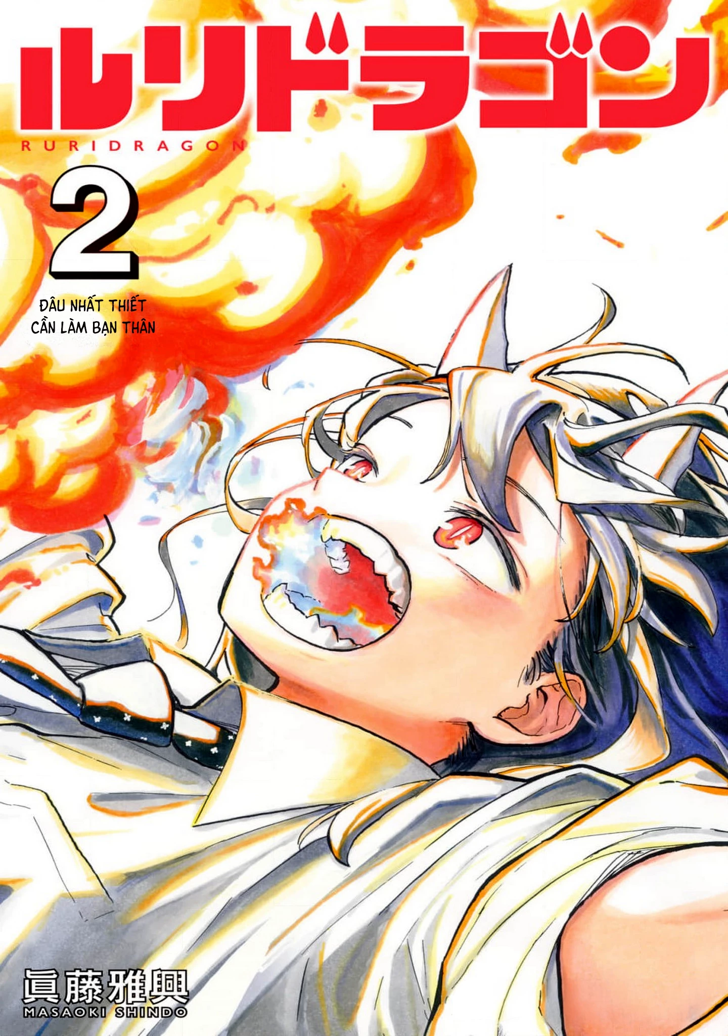 Ruri Dragon Chapter 15.5 - Trang 2