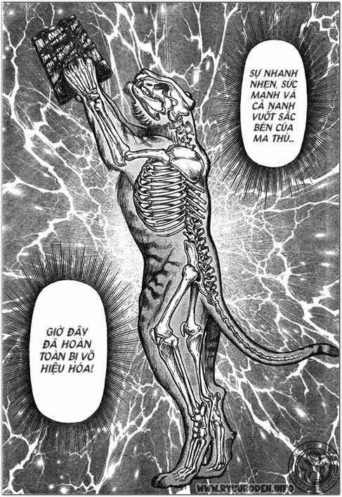 Ryuuroden – Chú Bé Rồng Chapter 203 - Trang 2