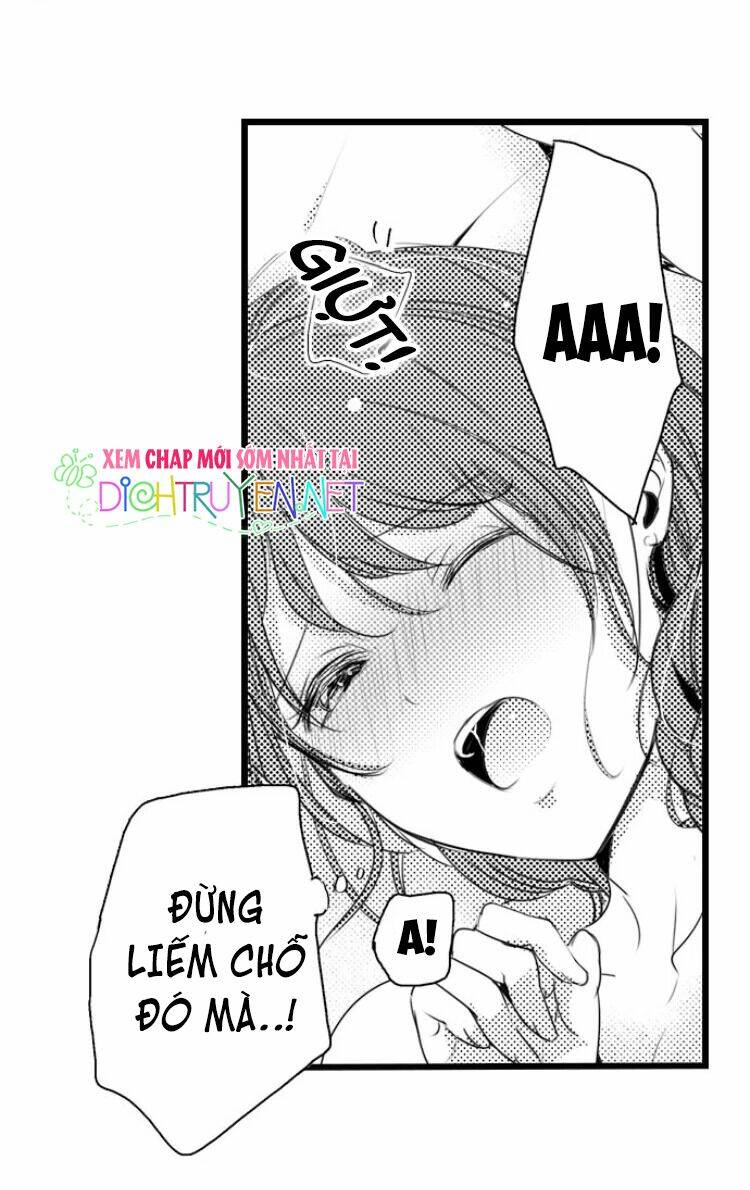 Sai Rồi, Sếp Tây Nhà Tôi Không Phải Là Quý Ông Đâu! Chapter 12 - Trang 2