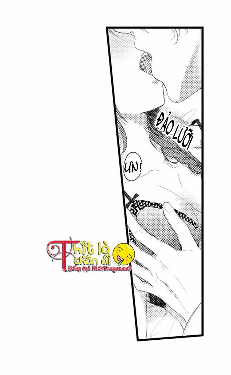 Sai Rồi, Sếp Tây Nhà Tôi Không Phải Là Quý Ông Đâu! Chapter 12 - Trang 2