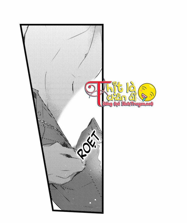 Sai Rồi, Sếp Tây Nhà Tôi Không Phải Là Quý Ông Đâu! Chapter 12 - Trang 2