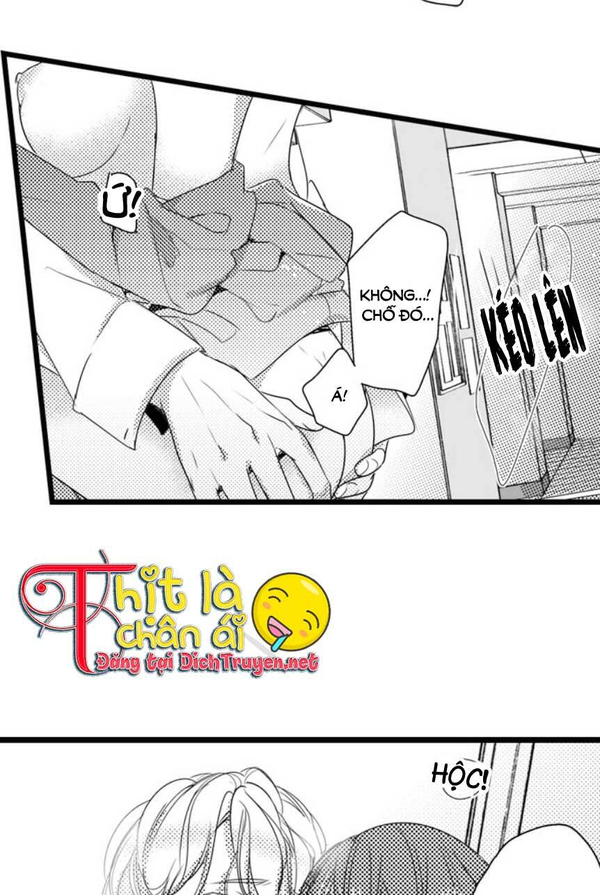 Sai Rồi, Sếp Tây Nhà Tôi Không Phải Là Quý Ông Đâu! Chapter 19 - Trang 2