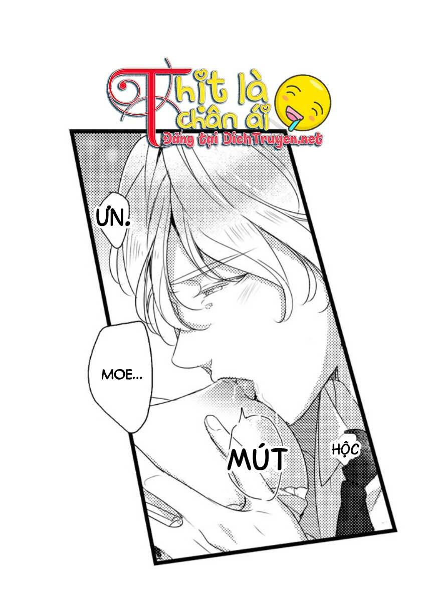 Sai Rồi, Sếp Tây Nhà Tôi Không Phải Là Quý Ông Đâu! Chapter 19 - Trang 2