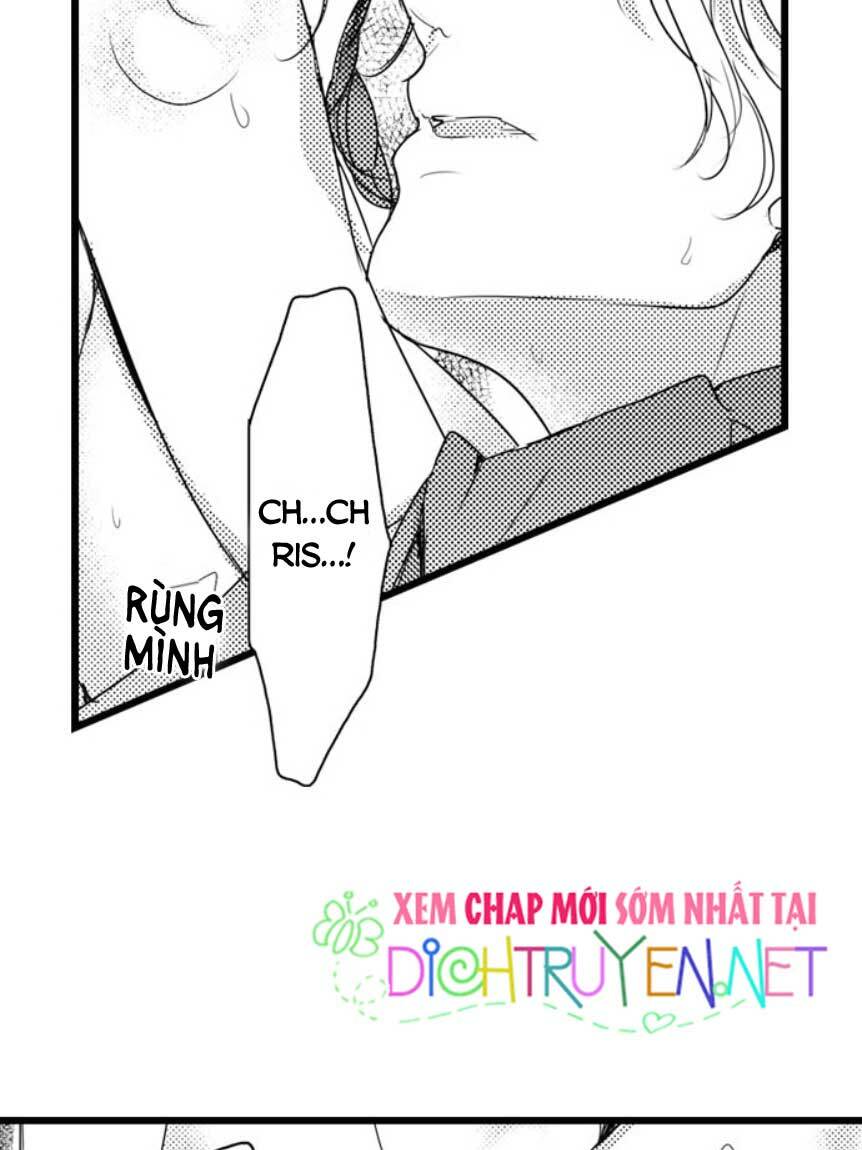 Sai Rồi, Sếp Tây Nhà Tôi Không Phải Là Quý Ông Đâu! Chapter 20 - Trang 2