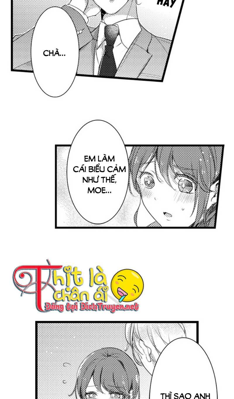 Sai Rồi, Sếp Tây Nhà Tôi Không Phải Là Quý Ông Đâu! Chapter 21 - Trang 2