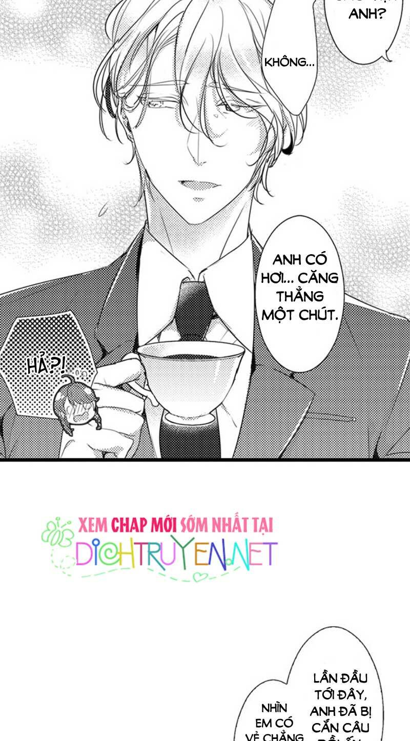 Sai Rồi, Sếp Tây Nhà Tôi Không Phải Là Quý Ông Đâu! Chapter 21 - Trang 2