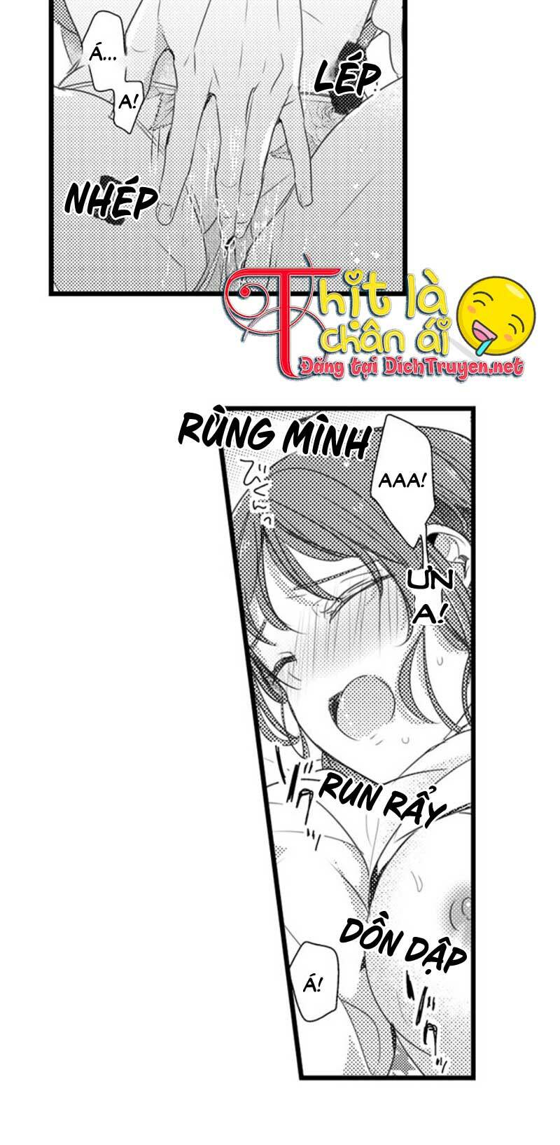 Sai Rồi, Sếp Tây Nhà Tôi Không Phải Là Quý Ông Đâu! Chapter 24 - Trang 2