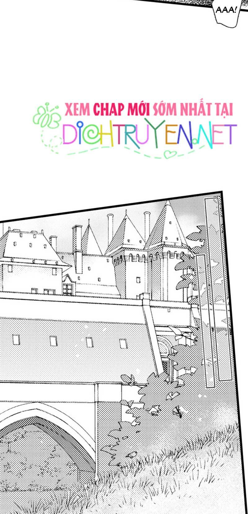 Sai Rồi, Sếp Tây Nhà Tôi Không Phải Là Quý Ông Đâu! Chapter 25 - Trang 2