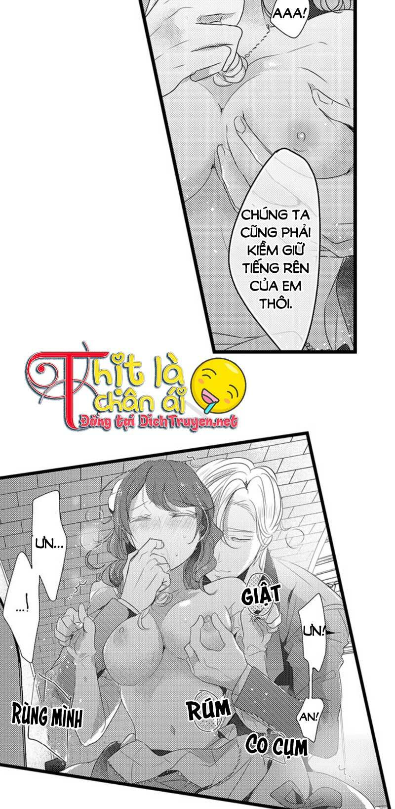 Sai Rồi, Sếp Tây Nhà Tôi Không Phải Là Quý Ông Đâu! Chapter 28 - Trang 2