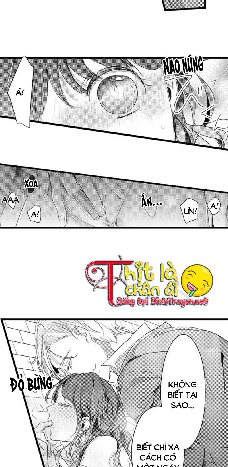 Sai Rồi, Sếp Tây Nhà Tôi Không Phải Là Quý Ông Đâu! Chapter 28 - Trang 2