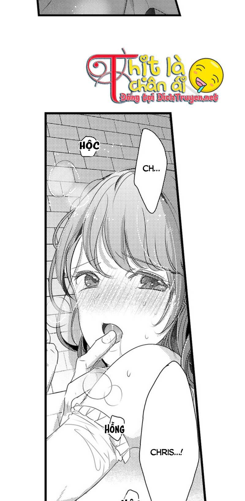 Sai Rồi, Sếp Tây Nhà Tôi Không Phải Là Quý Ông Đâu! Chapter 28 - Trang 2