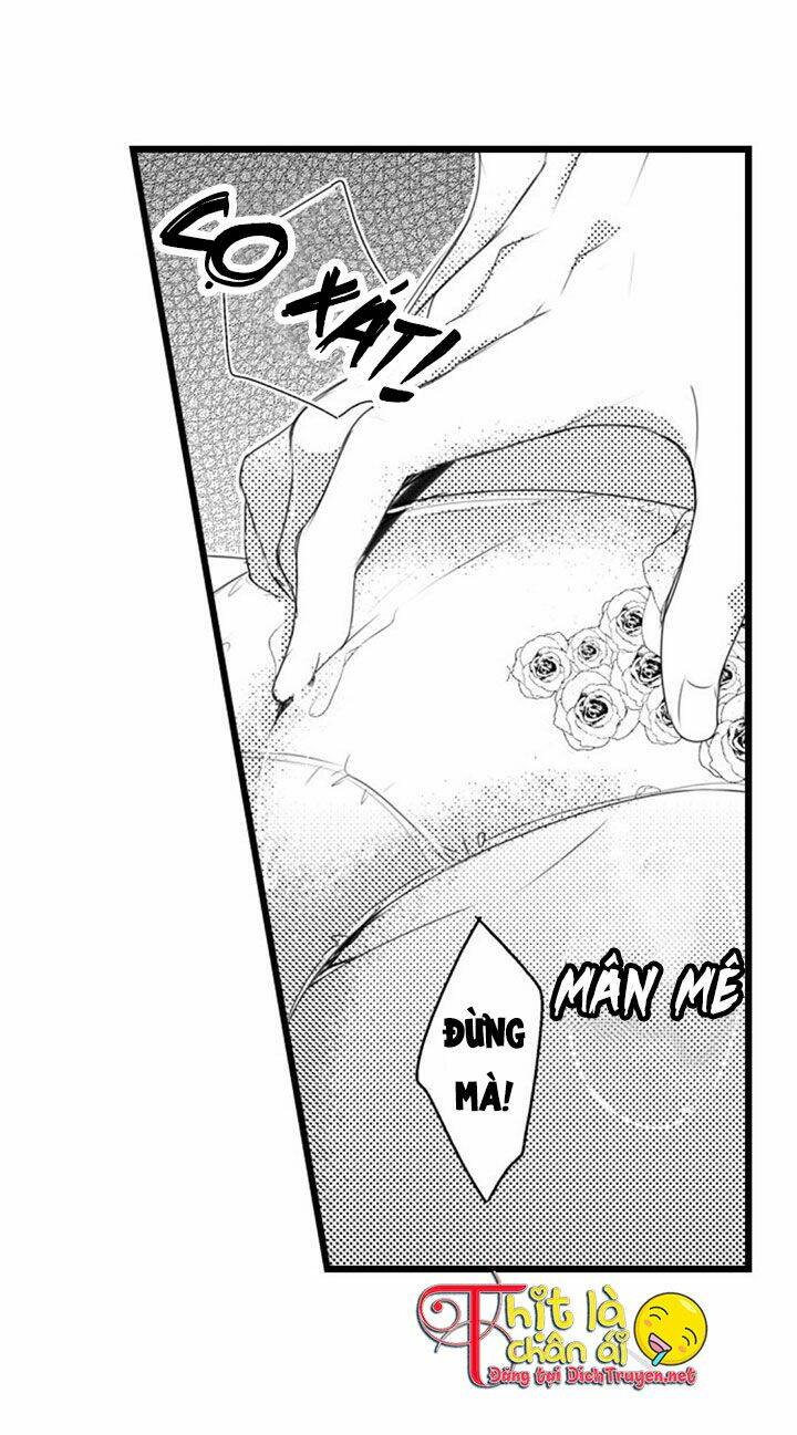 Sai Rồi, Sếp Tây Nhà Tôi Không Phải Là Quý Ông Đâu! Chapter 3 - Trang 2