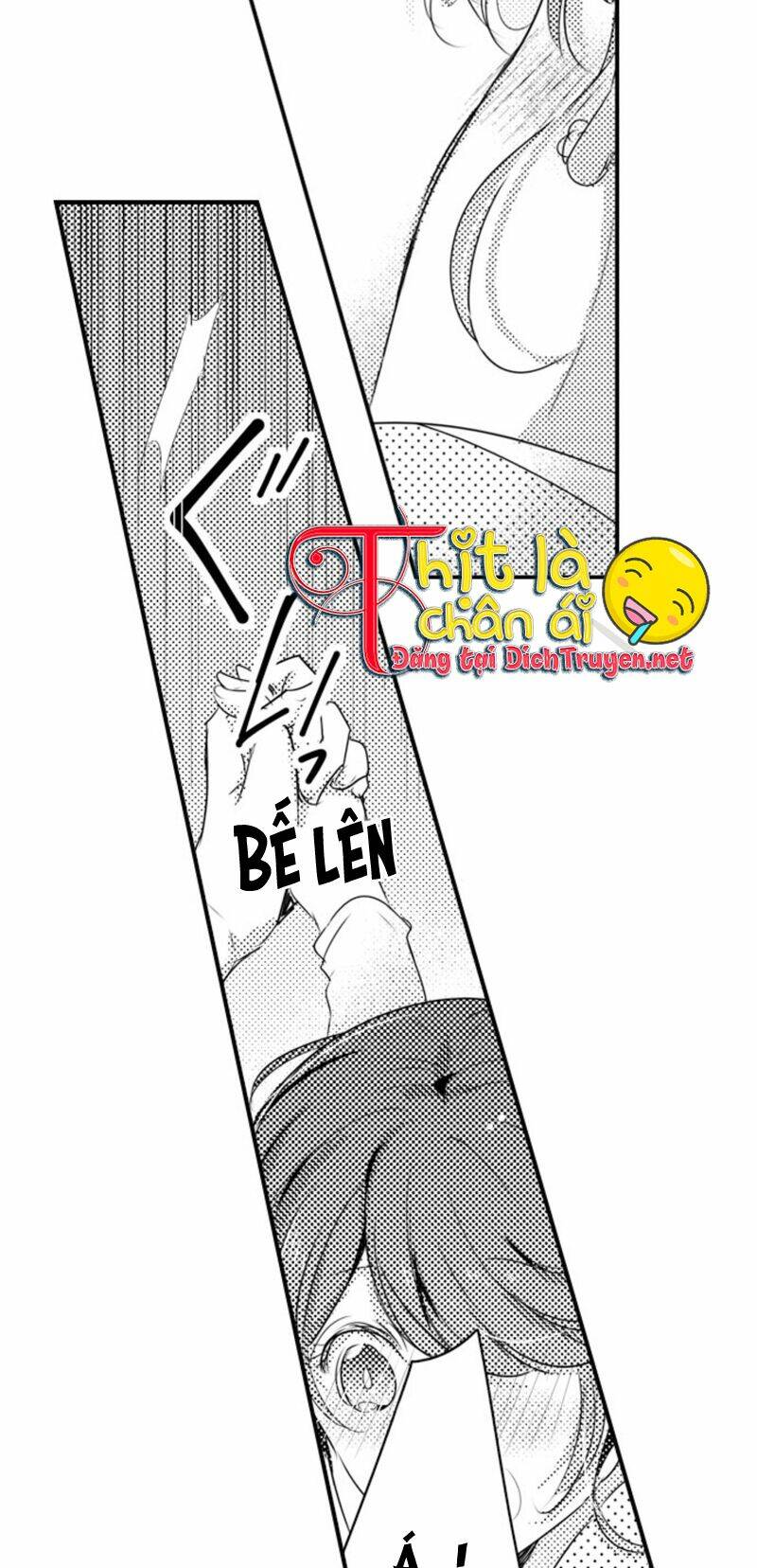 Sai Rồi, Sếp Tây Nhà Tôi Không Phải Là Quý Ông Đâu! Chapter 39 - Trang 2