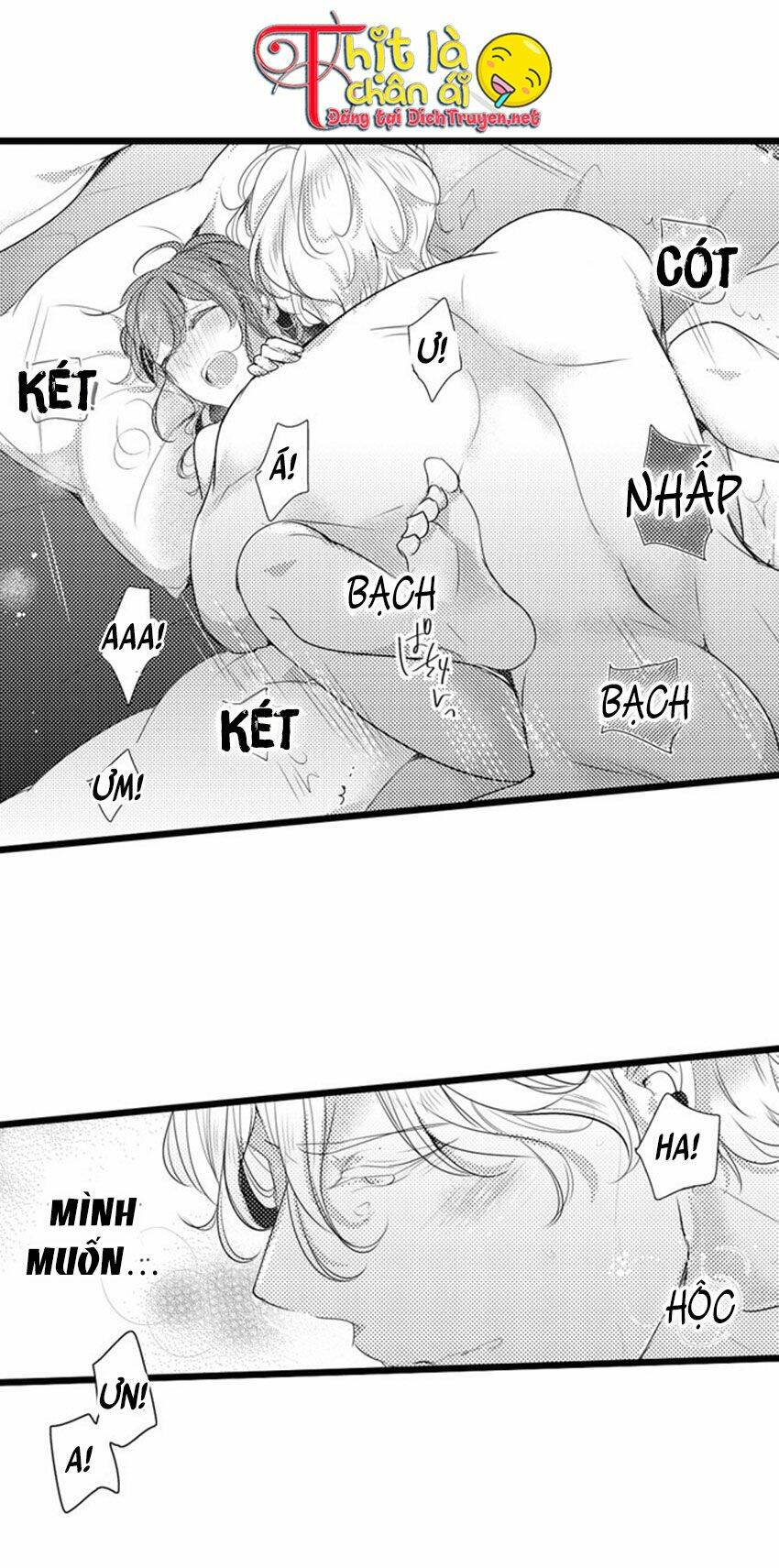 Sai Rồi, Sếp Tây Nhà Tôi Không Phải Là Quý Ông Đâu! Chapter 41 - Trang 2