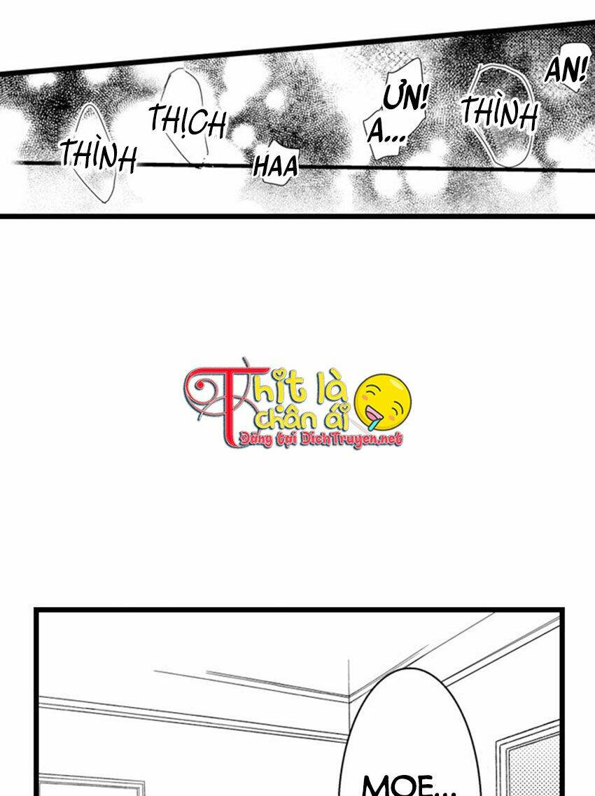 Sai Rồi, Sếp Tây Nhà Tôi Không Phải Là Quý Ông Đâu! Chapter 41 - Trang 2