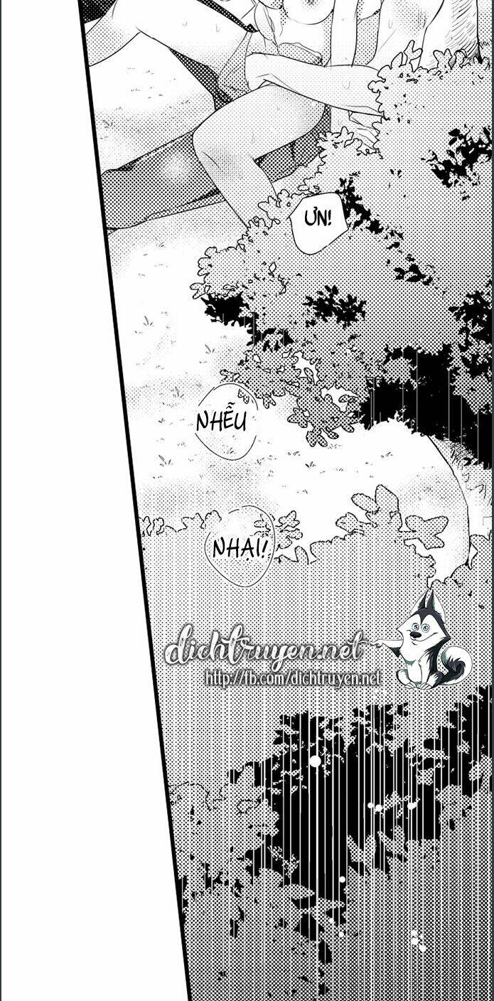 Sai Rồi, Sếp Tây Nhà Tôi Không Phải Là Quý Ông Đâu! Chapter 46 - Trang 2