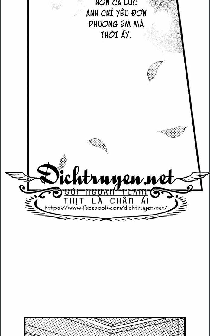 Sai Rồi, Sếp Tây Nhà Tôi Không Phải Là Quý Ông Đâu! Chapter 46 - Trang 2