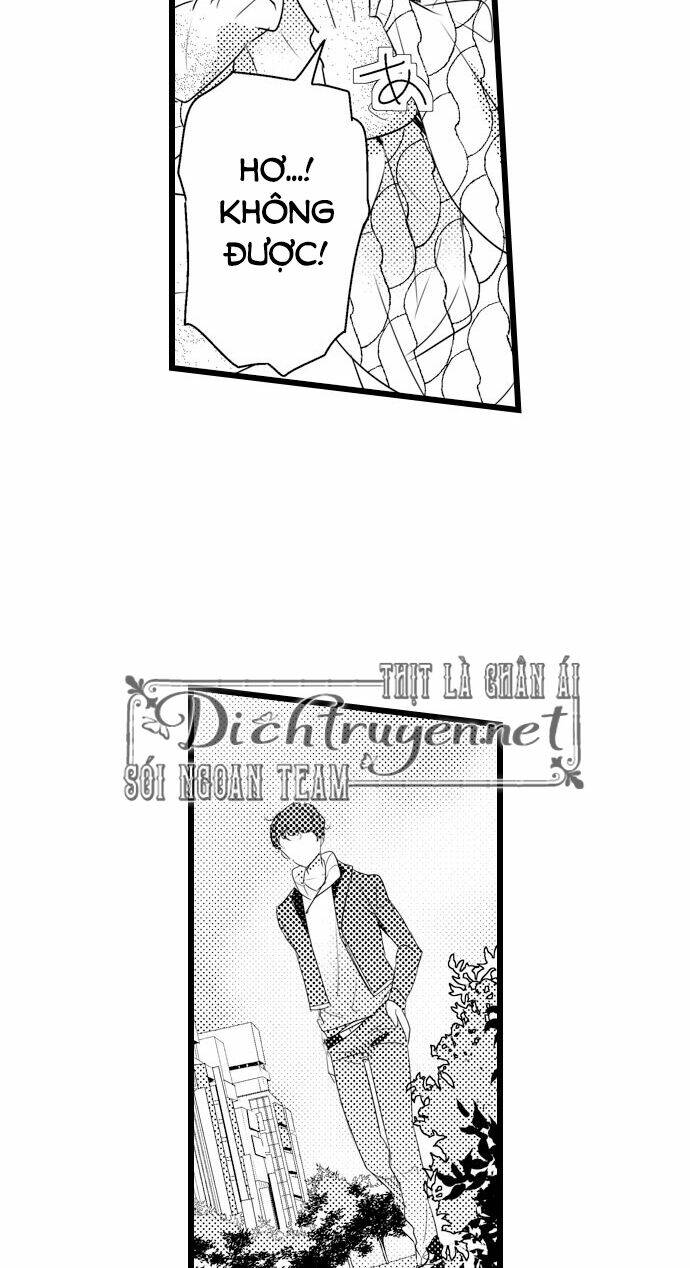 Sai Rồi, Sếp Tây Nhà Tôi Không Phải Là Quý Ông Đâu! Chapter 49 - Trang 2