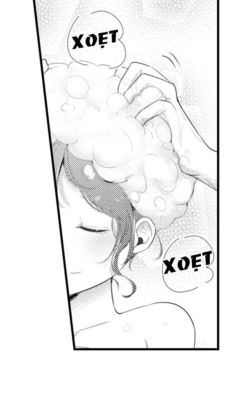 Sai Rồi, Sếp Tây Nhà Tôi Không Phải Là Quý Ông Đâu! Chapter 60 - Trang 2