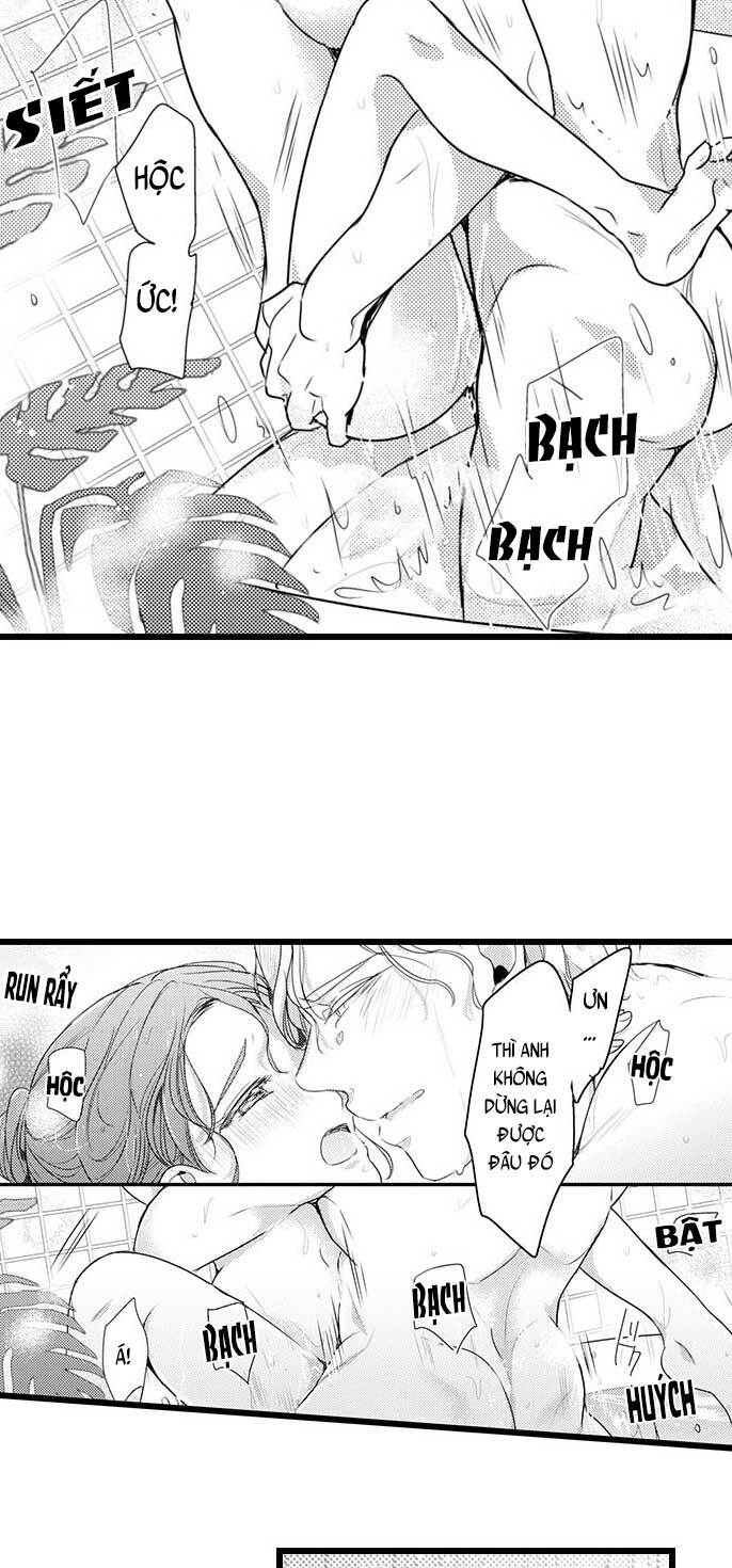 Sai Rồi, Sếp Tây Nhà Tôi Không Phải Là Quý Ông Đâu! Chapter 62 - Trang 2