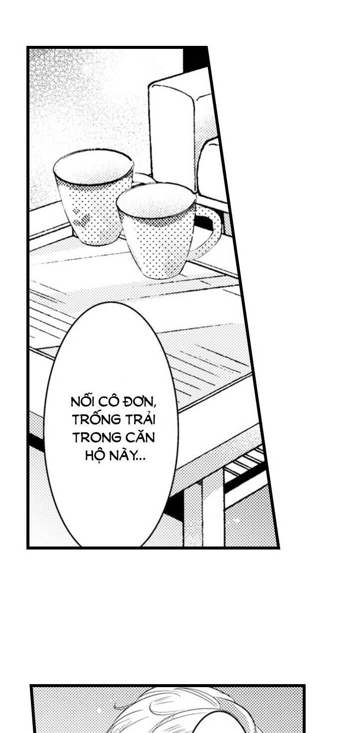 Sai Rồi, Sếp Tây Nhà Tôi Không Phải Là Quý Ông Đâu! Chapter 62 - Trang 2