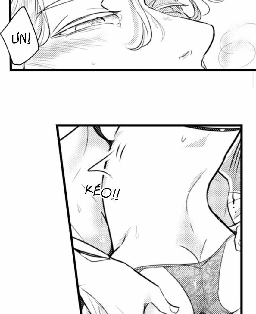 Sai Rồi, Sếp Tây Nhà Tôi Không Phải Là Quý Ông Đâu! Chapter 68 - Trang 2