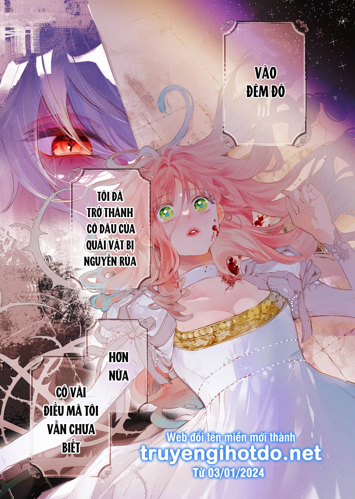 Sao Băng Ẩn Trong Hoa Chapter 1.1 - Trang 2