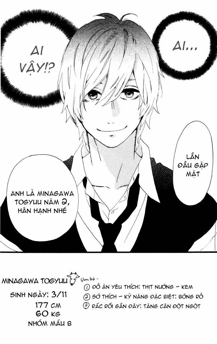 Sao Mai Của Em Chapter 27 - Trang 2