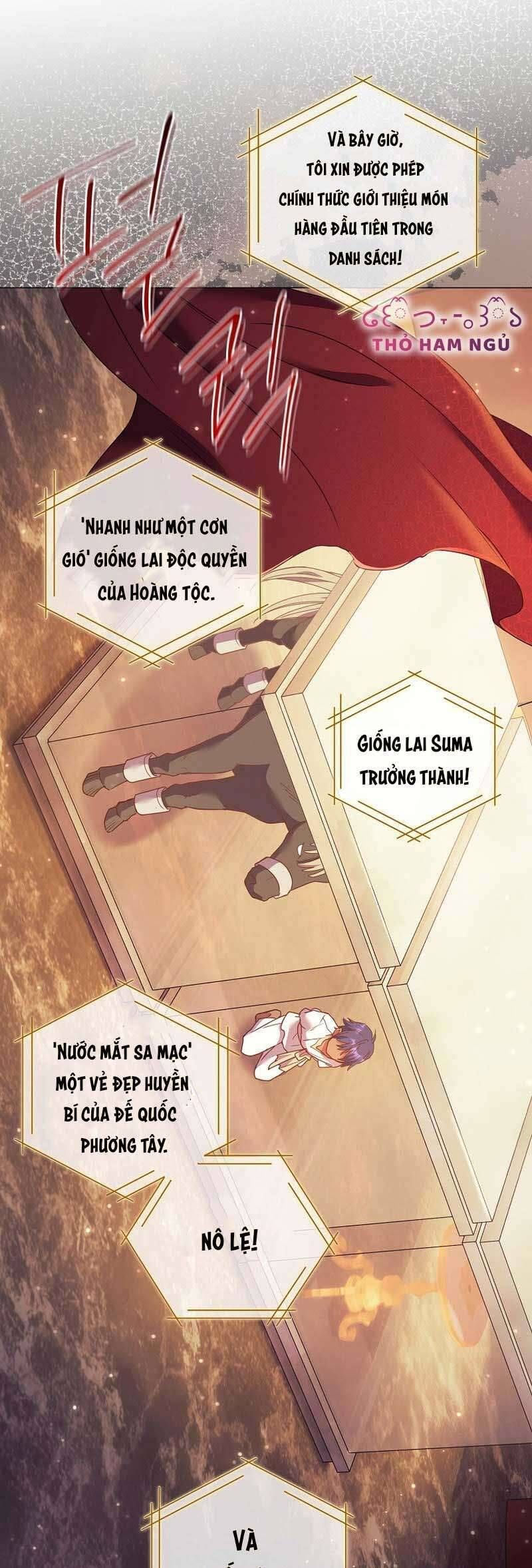 Sao Tôi Có Thể Li Hôn Khi Còn Chưa Kết Hôn Đây, Thưa Bệ Hạ Chapter 10 - Trang 2