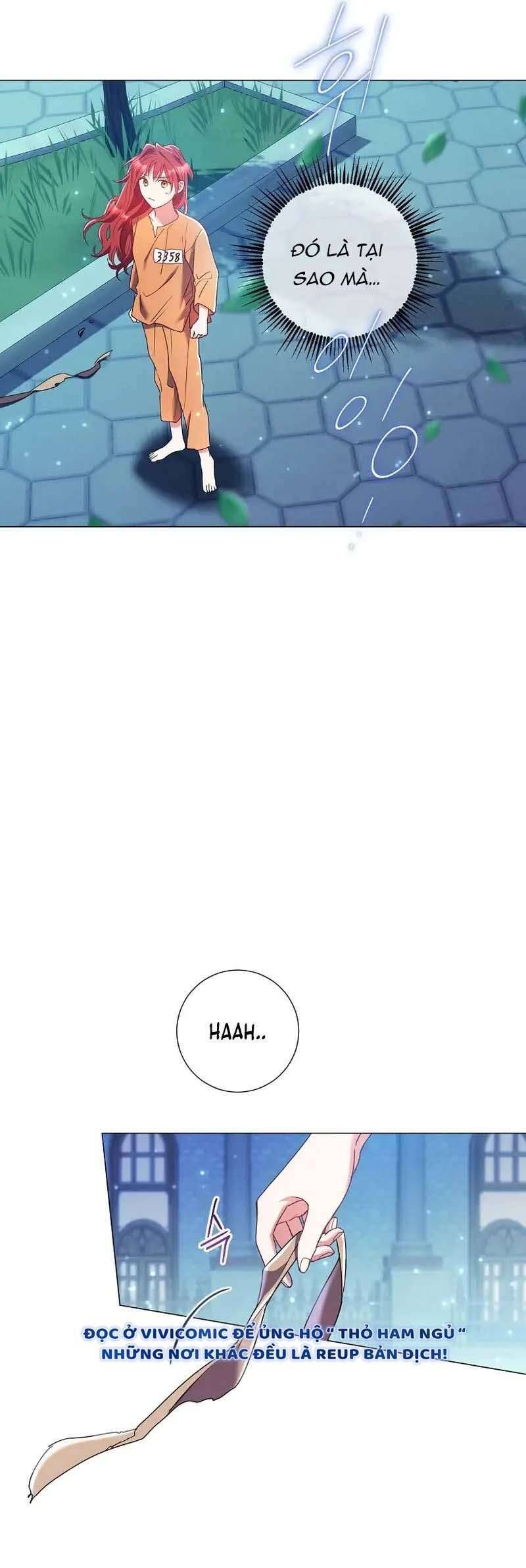 Sao Tôi Có Thể Li Hôn Khi Còn Chưa Kết Hôn Đây, Thưa Bệ Hạ Chapter 13 - Trang 2