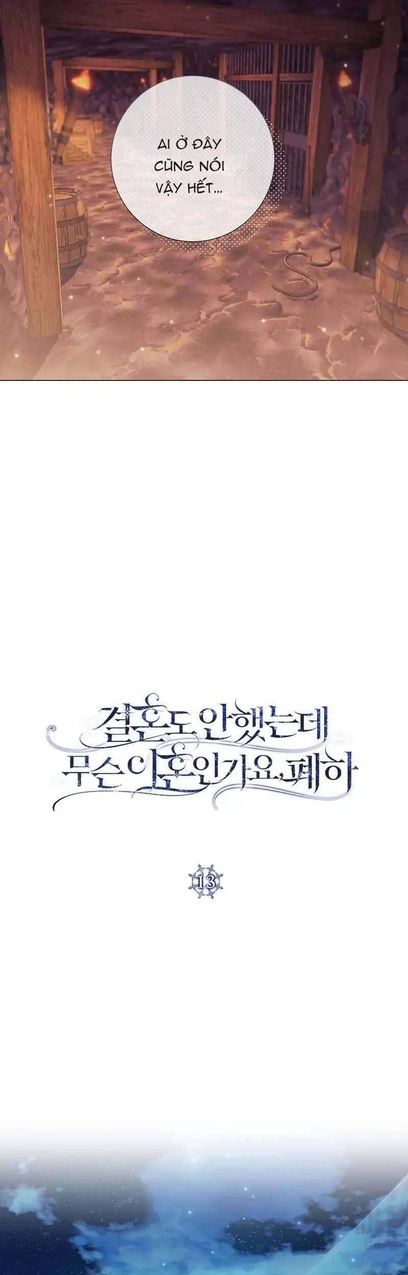 Sao Tôi Có Thể Li Hôn Khi Còn Chưa Kết Hôn Đây, Thưa Bệ Hạ Chapter 13 - Trang 2