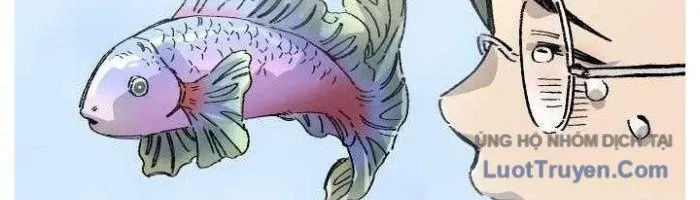 Sắp Xuất Ngũ Thì Isekai Chapter 166 - Trang 2