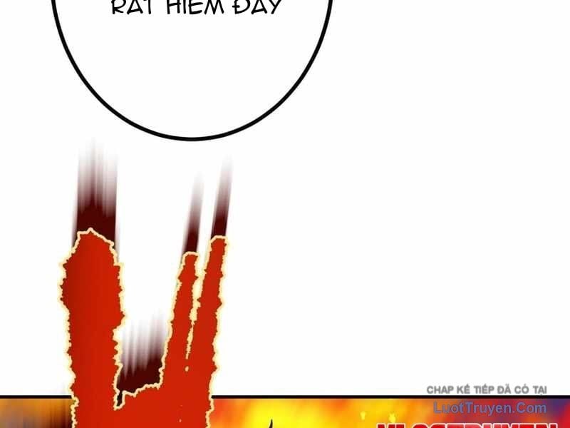 Sát Thủ Mạnh Nhất Chuyển Sinh Sang Thế Giới Khác Chapter 113 - Trang 2